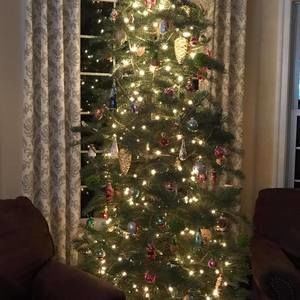 Meet your Posher, Robyn